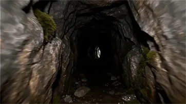 Wan 2.7 AI Video Generator Video Gallery - pov forward tunnel burst alpine meadow